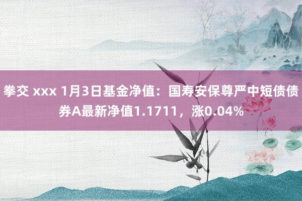 拳交 xxx 1月3日基金净值：国寿安保尊严中短债债券A最新净值1.1711，涨0.04%