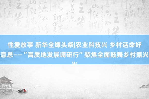 性爱故事 新华全媒头条|农业科技兴 乡村活命好意思——“高质地发展调研行”聚焦全面鼓舞乡村振兴