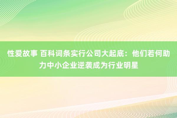 性爱故事 百科词条实行公司大起底：他们若何助力中小企业逆袭成为行业明星