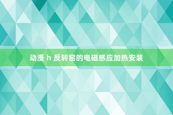动漫 h 反转窑的电磁感应加热安装