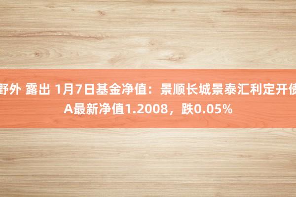 野外 露出 1月7日基金净值：景顺长城景泰汇利定开债A最新净值1.2008，跌0.05%