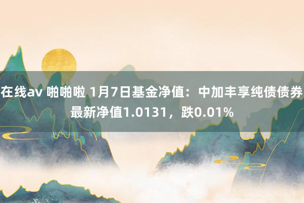 在线av 啪啪啦 1月7日基金净值：中加丰享纯债债券最新净值1.0131，跌0.01%