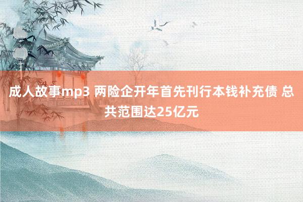 成人故事mp3 两险企开年首先刊行本钱补充债 总共范围达25亿元