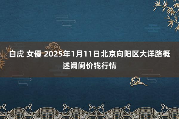 白虎 女優 2025年1月11日北京向阳区大洋路概述阛阓价钱行情