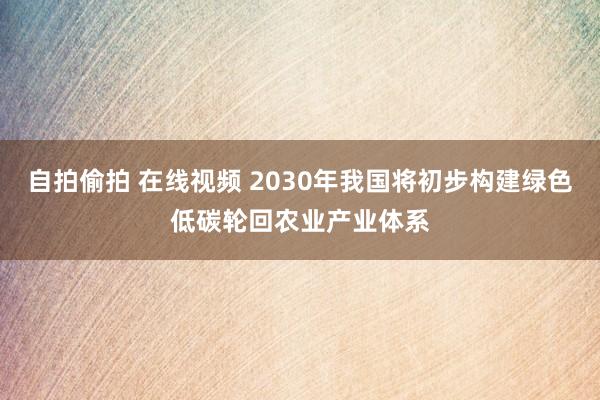自拍偷拍 在线视频 2030年我国将初步构建绿色低碳轮回农业产业体系