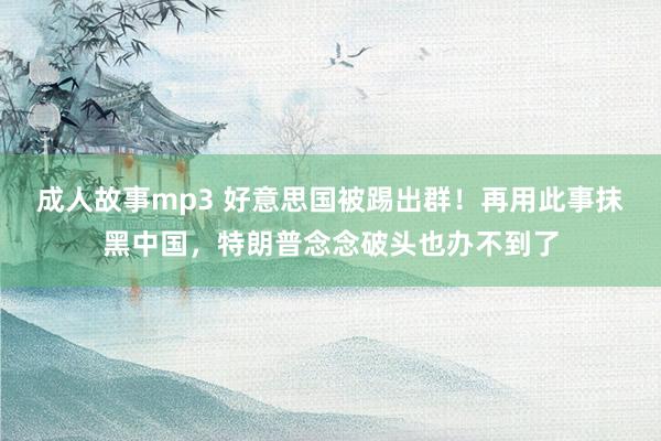 成人故事mp3 好意思国被踢出群！再用此事抹黑中国，特朗普念念破头也办不到了