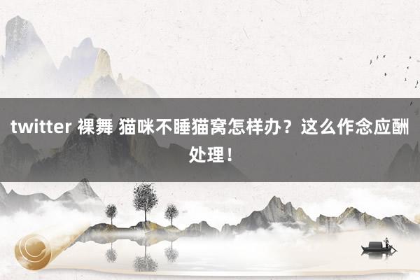 twitter 裸舞 猫咪不睡猫窝怎样办？这么作念应酬处理！