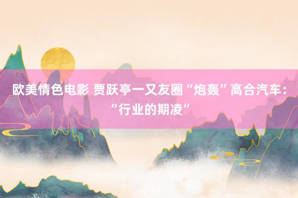 欧美情色电影 贾跃亭一又友圈“炮轰”高合汽车：“行业的期凌”