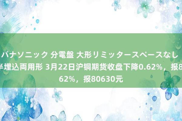 パナソニック 分電盤 大形リミッタースペースなし 露出・半埋込両用形 3月22日沪铜期货收盘下降0.
