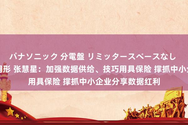 パナソニック 分電盤 リミッタースペースなし 露出・半埋込両用形 张慧星：加强数据供给、技巧用具保险
