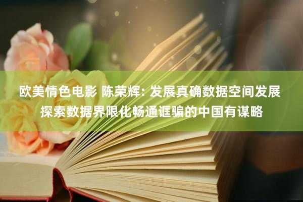 欧美情色电影 陈荣辉: 发展真确数据空间发展 探索数据界限化畅通诓骗的中国有谋略