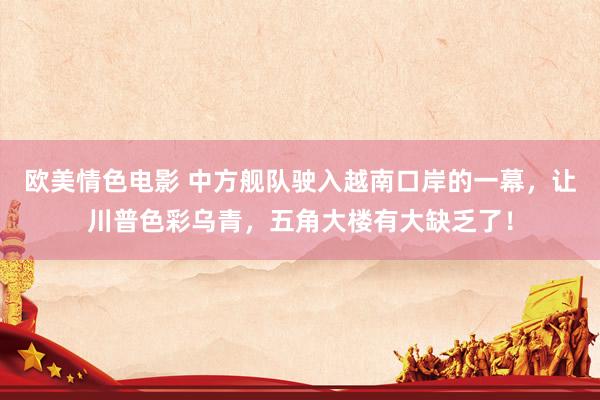 欧美情色电影 中方舰队驶入越南口岸的一幕，让川普色彩乌青，五角大楼有大缺乏了！
