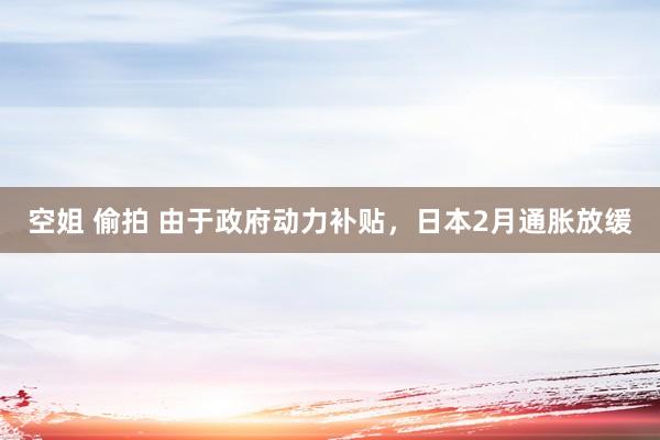 空姐 偷拍 由于政府动力补贴，日本2月通胀放缓