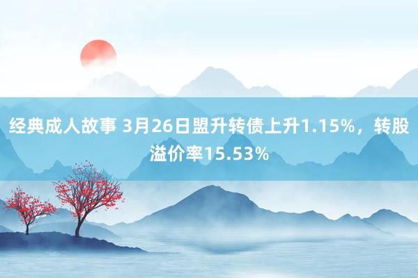 经典成人故事 3月26日盟升转债上升1.15%，转股溢价率15.53%