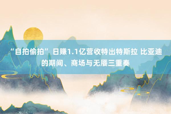 “自拍偷拍” 日赚1.1亿营收特出特斯拉 比亚迪的期间、商场与无餍三重奏