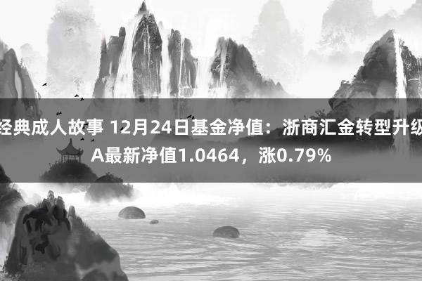 经典成人故事 12月24日基金净值：浙商汇金转型升级A最新净值1.0464，涨0.79%