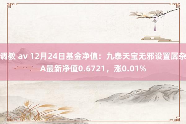 调教 av 12月24日基金净值：九泰天宝无邪设置羼杂A最新净值0.6721，涨0.01%