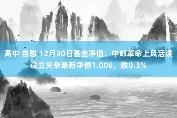 高中 自慰 12月30日基金净值：中邮革命上风活泼设立夹杂最新净值1.006，跌0.3%