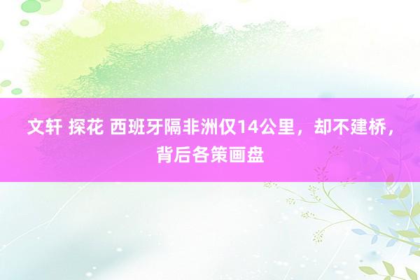 文轩 探花 西班牙隔非洲仅14公里，却不建桥，背后各策画盘