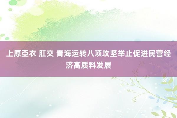 上原亞衣 肛交 青海运转八项攻坚举止促进民营经济高质料发展