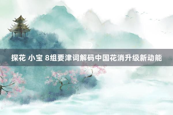 探花 小宝 8组要津词解码中国花消升级新动能