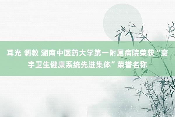 耳光 调教 湖南中医药大学第一附属病院荣获“寰宇卫生健康系统先进集体”荣誉名称