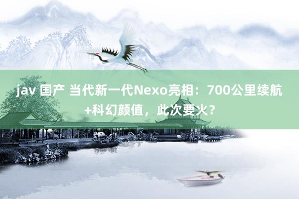 jav 国产 当代新一代Nexo亮相：700公里续航+科幻颜值，此次要火？