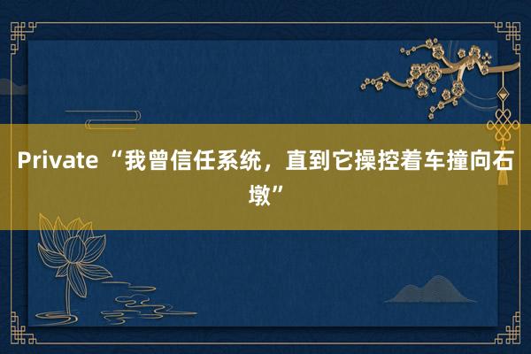 Private “我曾信任系统，直到它操控着车撞向石墩”