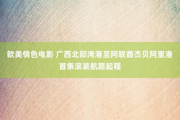 欧美情色电影 广西北部湾港至阿联酋杰贝阿里港首条滚装航路起程