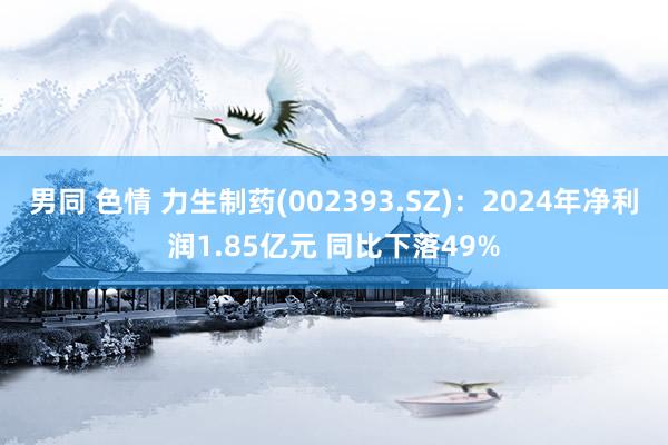 男同 色情 力生制药(002393.SZ)：2024年净利润1.85亿元 同比下落49%