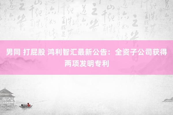 男同 打屁股 鸿利智汇最新公告：全资子公司获得两项发明专利