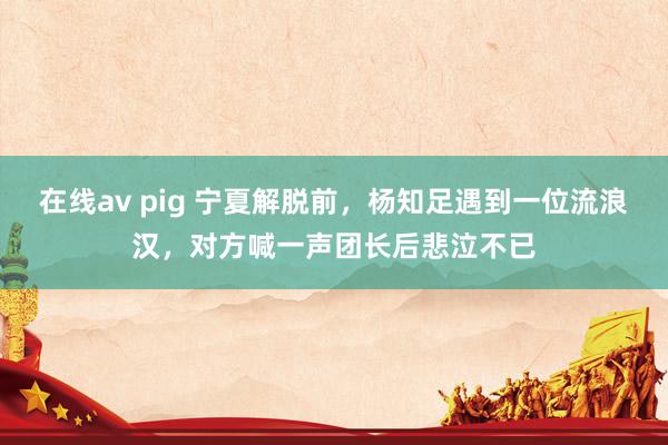 在线av pig 宁夏解脱前，杨知足遇到一位流浪汉，对方喊一声团长后悲泣不已