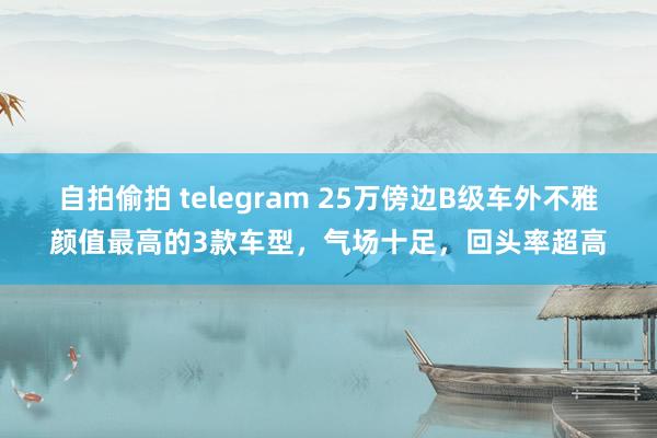自拍偷拍 telegram 25万傍边B级车外不雅颜值最高的3款车型，气场十足，回头率超高