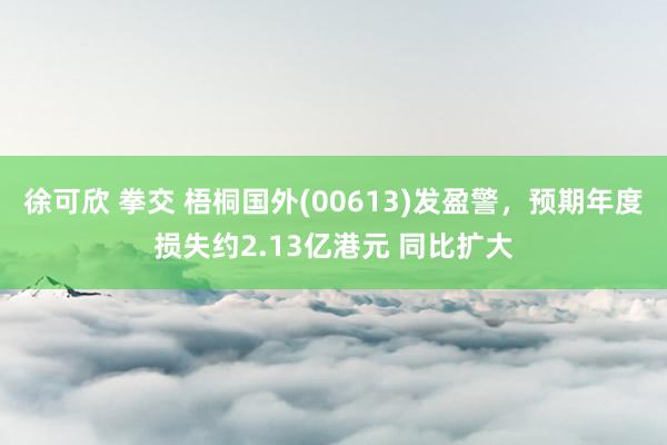 徐可欣 拳交 梧桐国外(00613)发盈警，预期年度损失约2.13亿港元 同比扩大