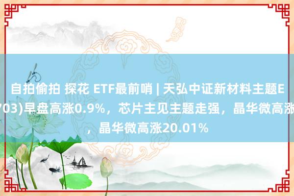自拍偷拍 探花 ETF最前哨 | 天弘中证新材料主题ETF(159703)早盘高涨0.9%，芯片主见主题走强，晶华微高涨20.01%