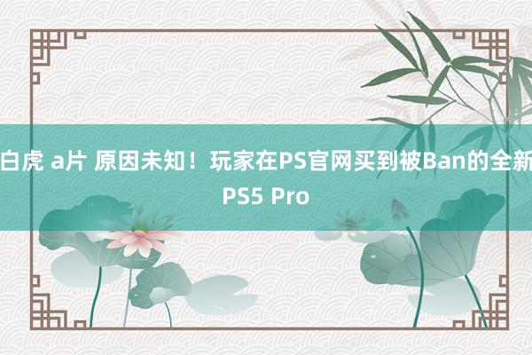 白虎 a片 原因未知！玩家在PS官网买到被Ban的全新PS5 Pro
