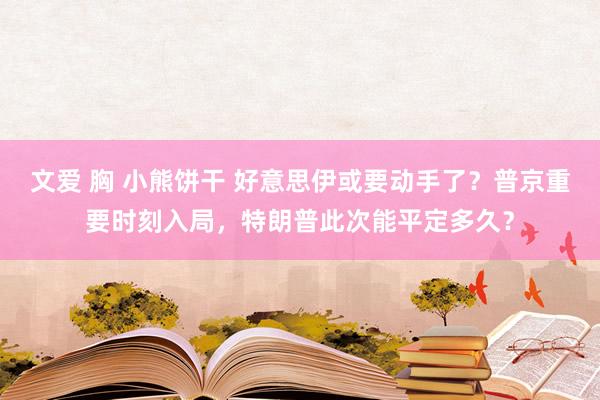 文爱 胸 小熊饼干 好意思伊或要动手了？普京重要时刻入局，特朗普此次能平定多久？