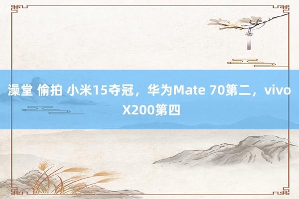 澡堂 偷拍 小米15夺冠，华为Mate 70第二，vivo X200第四