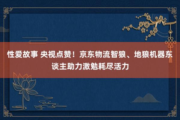 性爱故事 央视点赞！京东物流智狼、地狼机器东谈主助力激勉耗尽活力