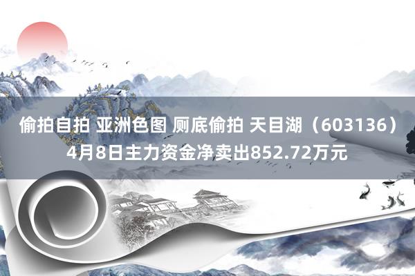 偷拍自拍 亚洲色图 厕底偷拍 天目湖（603136）4月8日主力资金净卖出852.72万元