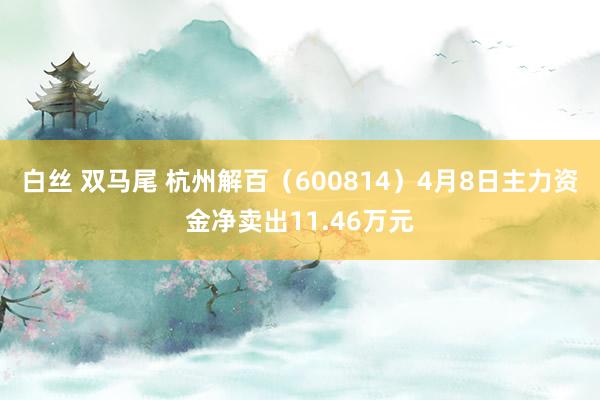 白丝 双马尾 杭州解百（600814）4月8日主力资金净卖出11.46万元
