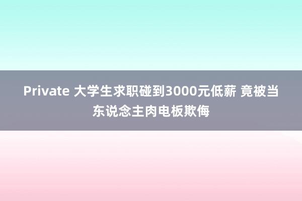 Private 大学生求职碰到3000元低薪 竟被当东说念主肉电板欺侮
