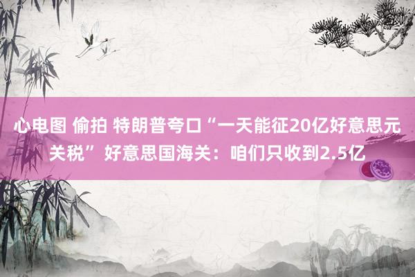 心电图 偷拍 特朗普夸口“一天能征20亿好意思元关税” 好意思国海关：咱们只收到2.5亿