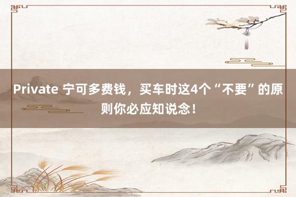 Private 宁可多费钱，买车时这4个“不要”的原则你必应知说念！