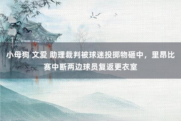 小母狗 文爱 助理裁判被球迷投掷物砸中，里昂比赛中断两边球员复返更衣室