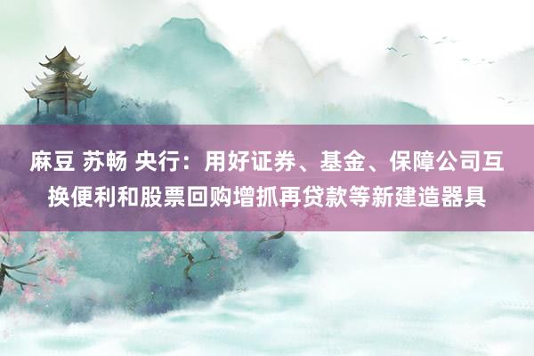 麻豆 苏畅 央行：用好证券、基金、保障公司互换便利和股票回购增抓再贷款等新建造器具