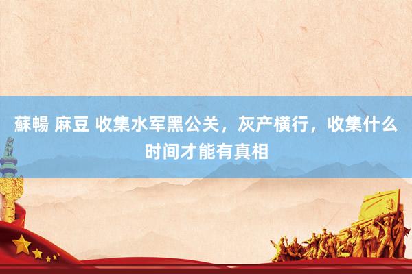 蘇暢 麻豆 收集水军黑公关，灰产横行，收集什么时间才能有真相
